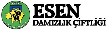 2g4krlvxpazoock844.jpg